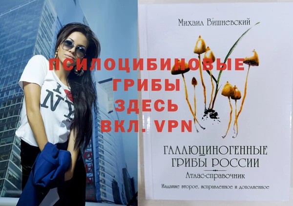 spice Белая Калитва