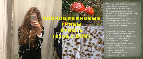 прущие грибы Белая Холуница