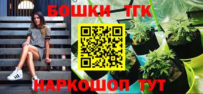 индика Ирбит